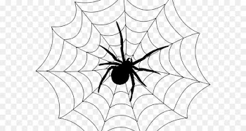 Spider, Spider Web, Spiderman, White, Blackandwhite PNG