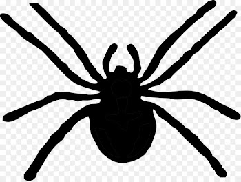 Spider, Stock Photography, Public Domain, Tarantula PNG