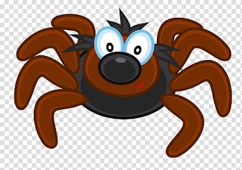 , spider transparent background PNG clipart