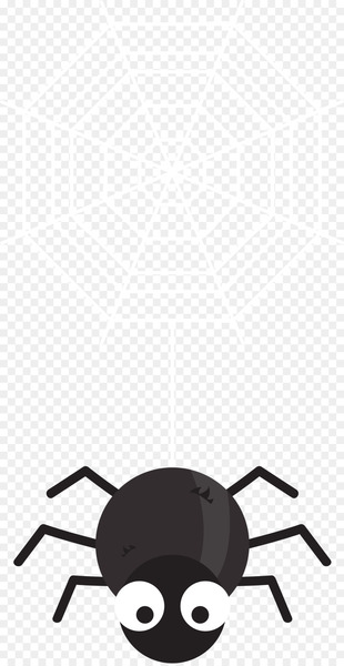 Spider web Black house spider - Cartoon Black Witch Hat 