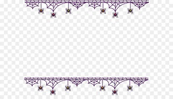 Spider web Black house spider - Spider web border 