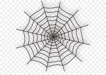 Spider web Clip art - Large Haunted Spider Web PNG Clipart 
