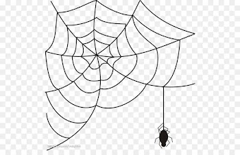 Spider web Clip art - spider 