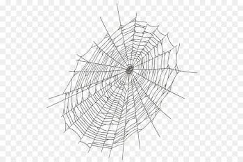 Spider web Clip art - spider 