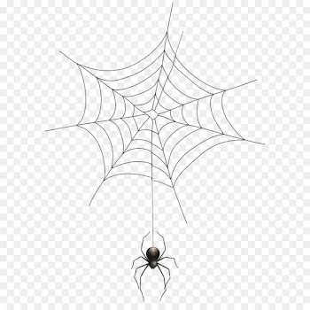 Spider web Clip art - Spider and Web Transparent Clip Art Image 