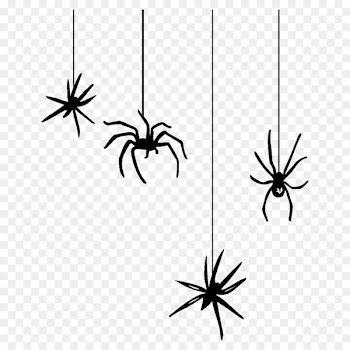 Spider web Clip art - spider web 