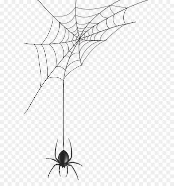 Spider web Clip art - Spider Web PNG Clip Art Image 