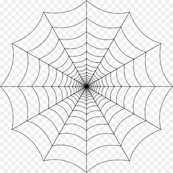 Spider web Clip art - Spider Web Transparent Background 
