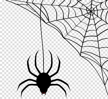 Spider Web Cobweb - Free vector graphic on Pixabay