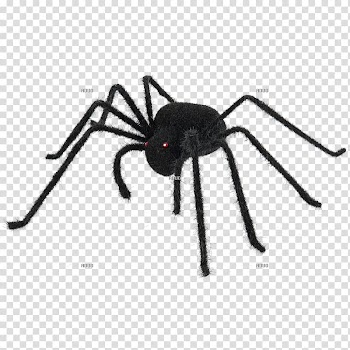 Spider web Color Halloween Black, spider transparent background PNG clipart