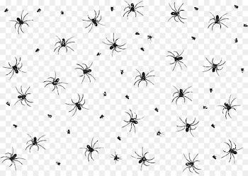 Spider web Download - spider 