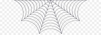 Spider web Drawing Clip art - Cobweb 