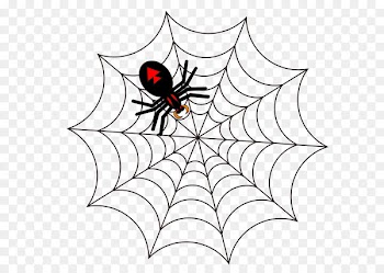 Spider web Drawing Clip art - spider 