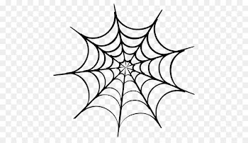 Spider web Drawing Clip art - spider web 