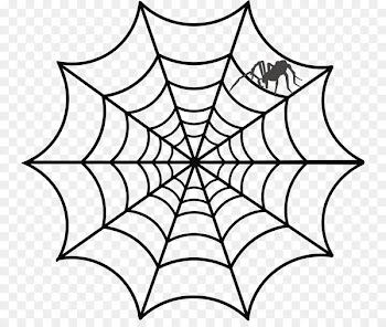 Spider web Drawing Clip art - spider web 