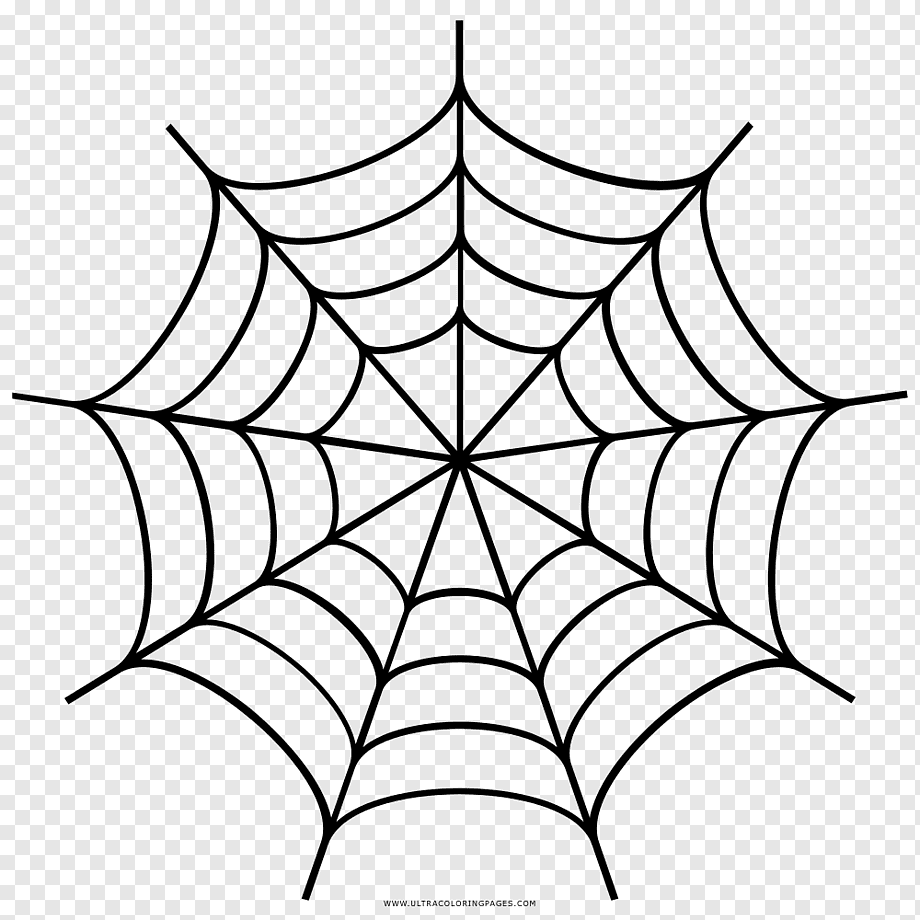 Spider web Drawing, cobwebs, angle, white, leaf png