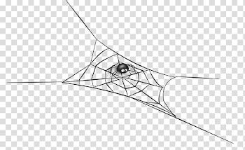 Spider web Drawing, spider transparent background PNG clipart