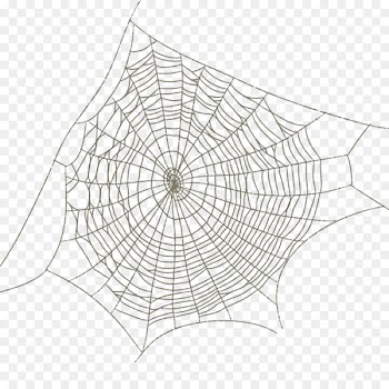 Spider web Drawing - Spider web spider web pattern image 
