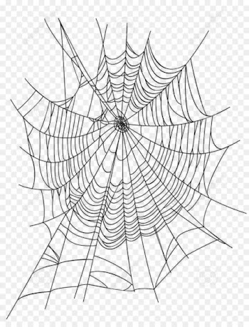 Spider web Euclidean vector Illustration - Creative cartoon spider web spider web icon 