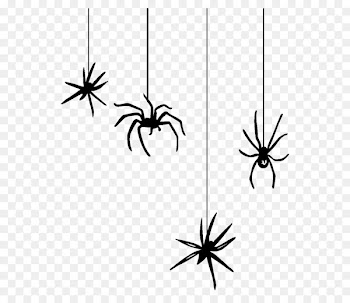 Spider web Halloween Black house spider Clip art - spider 