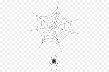 Spider web Halloween Clip art - Spider web spider 