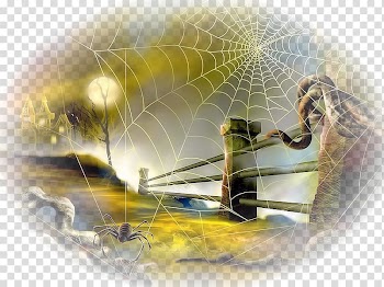 Spider web Halloween Desktop , sfondi transparent background PNG clipart