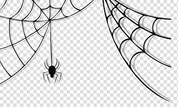 Spider web Halloween , Haunted Spider and Web , white spider on web decor transparent background PNG clipart