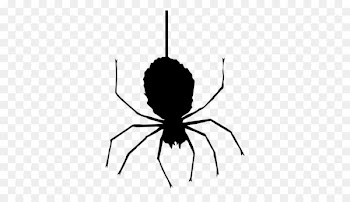 Spider web Halloween Icon - Halloween Spider PNG Clipart 