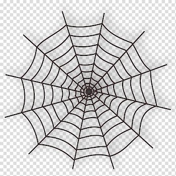 Spider web , Halloween Line Art transparent background PNG clipart