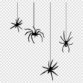 Spider web Halloween , spider transparent background PNG clipart