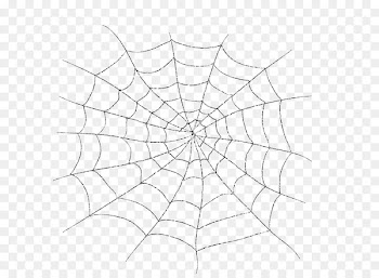 Spider web Portable Network Graphics Image Spider silk - spider 