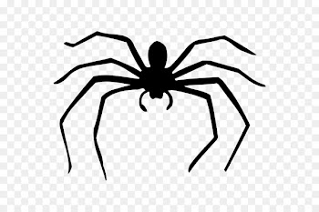 Spider web Silhouette Drawing - carnivores 