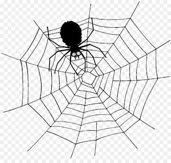 Spider web Southern black widow Clip art - spider 