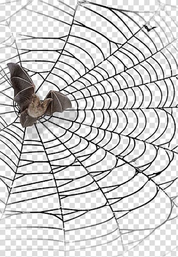 Spider web Spider-Man Bat Halloween, Cobweb bat transparent background PNG clipart