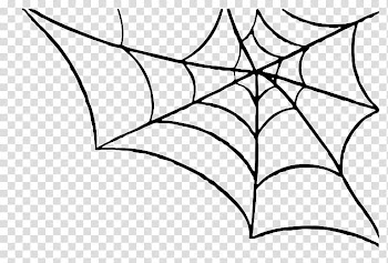 Spider web , spider transparent background PNG clipart