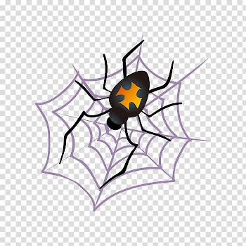 Spider web , spider transparent background PNG clipart