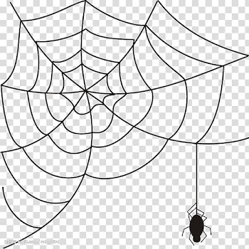 Spider web , spider transparent background PNG clipart