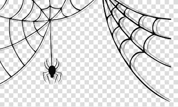 Spider web spider transparent background PNG clipart