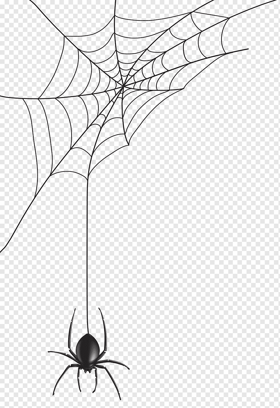 Spider web, Spider Web, angle, white, happy Halloween png