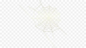 Spider web Symmetry Line Pattern - spider 