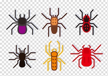 Spider web Tarantula Poison, Color poisonous spider transparent background PNG clipart