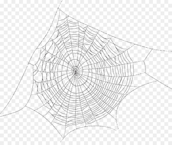 Spider Web Triangle png download - 3600*3011 - Free Transparent ...
