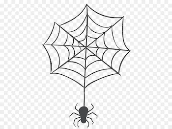 Spider web Vector graphics Royalty-free Design - another symbol 
