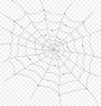 Spider web - White spider web 