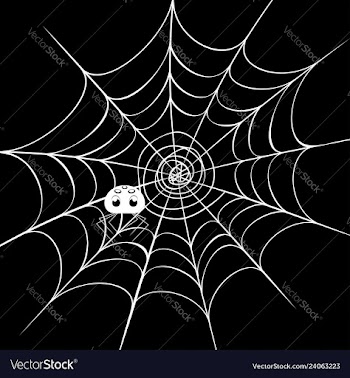 Spider web with cute spider vector image