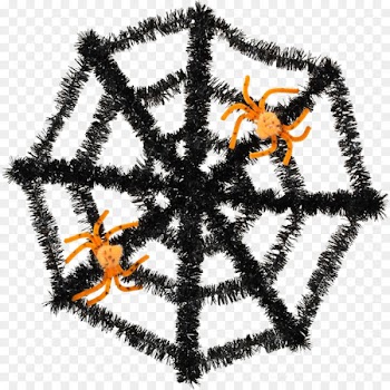 Spiderman, Spider, Coloring Book, Fur, Tiger PNG