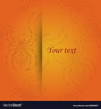 Spiders pattern vector image