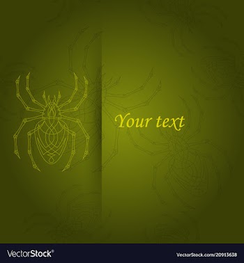 Spiders pattern vector image
