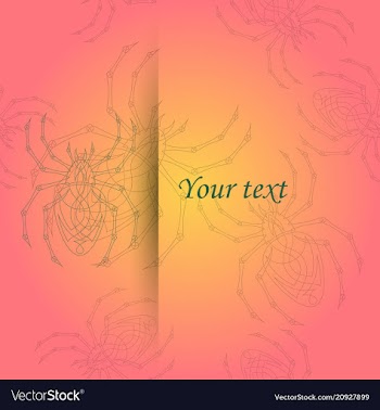 Spiders pattern vector image
