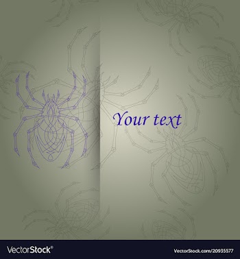 Spiders pattern vector image